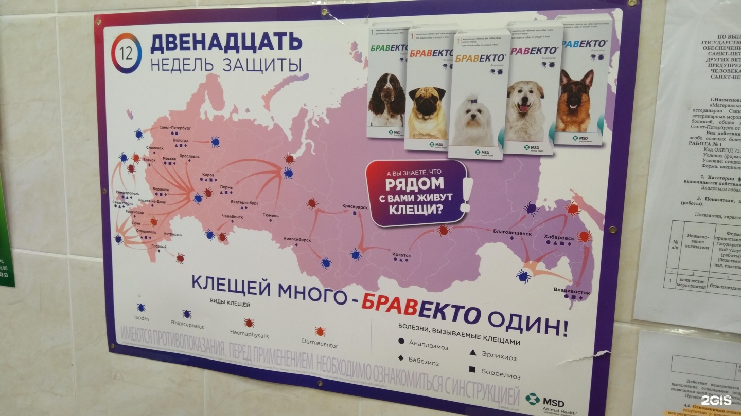 Ветеринарные Аптеки В Василеостровском Районе Спб