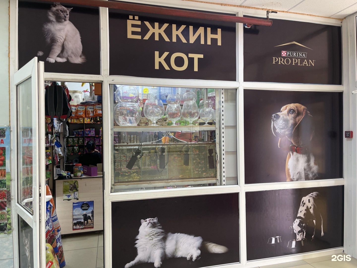 Магазин Ежкин Кот В Спб