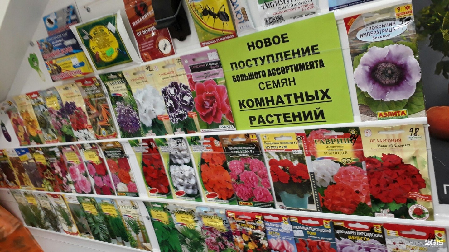 Магазин семян комнатных цветов