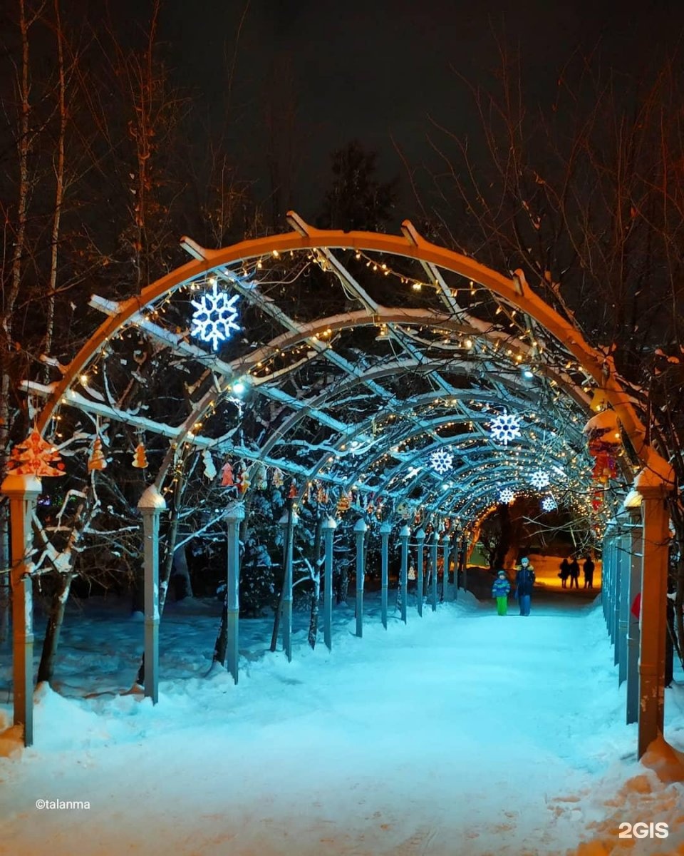 Парк Кирова Новосибирск зимой