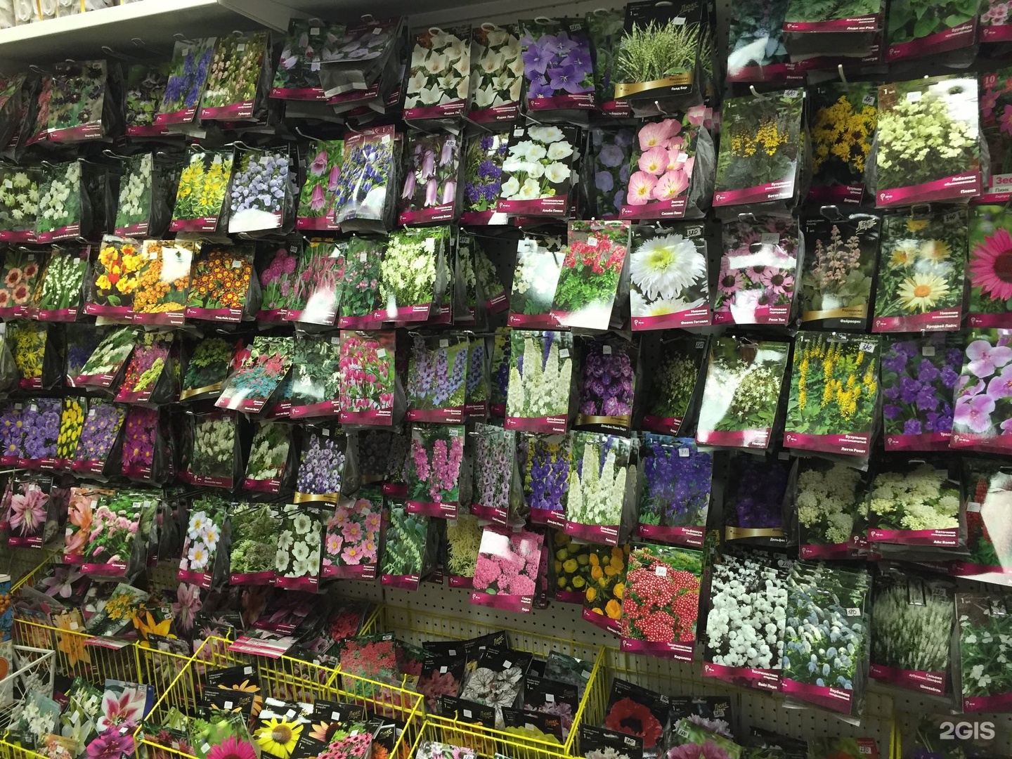 Где Можно Купить Семена Цветов