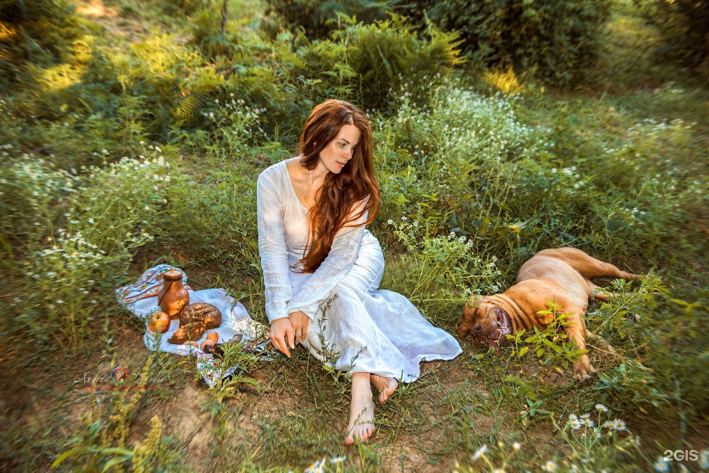 Девушка с собакой на траве