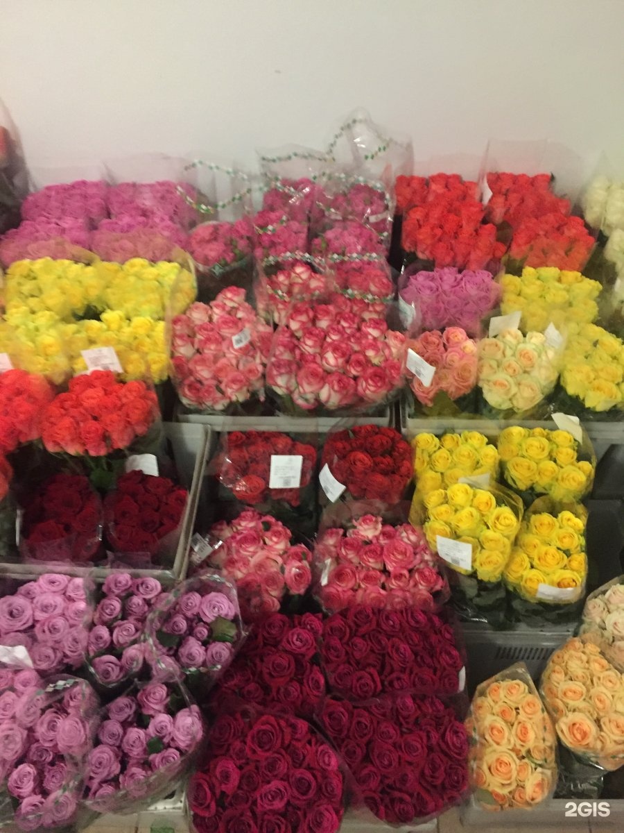 Где Купить Цветы Оптом В Ростове
