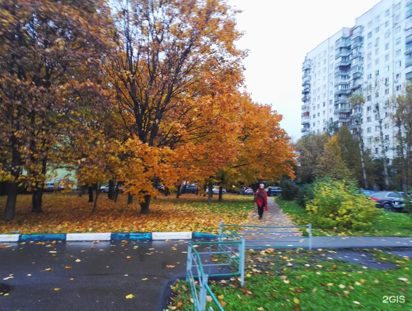 москва орехово борисово северное