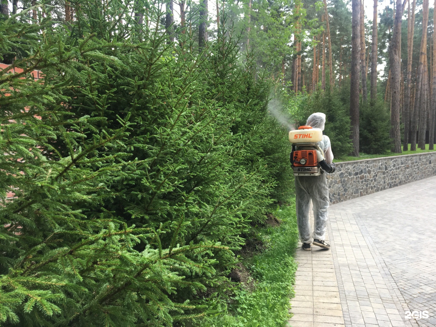 Зеленый новосибирск. Ландшафтный парк сияние в Новосибирске.