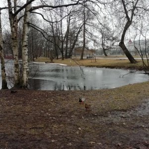 Фото от владельца Центральный парк культуры и отдыха им. С.М. Кирова