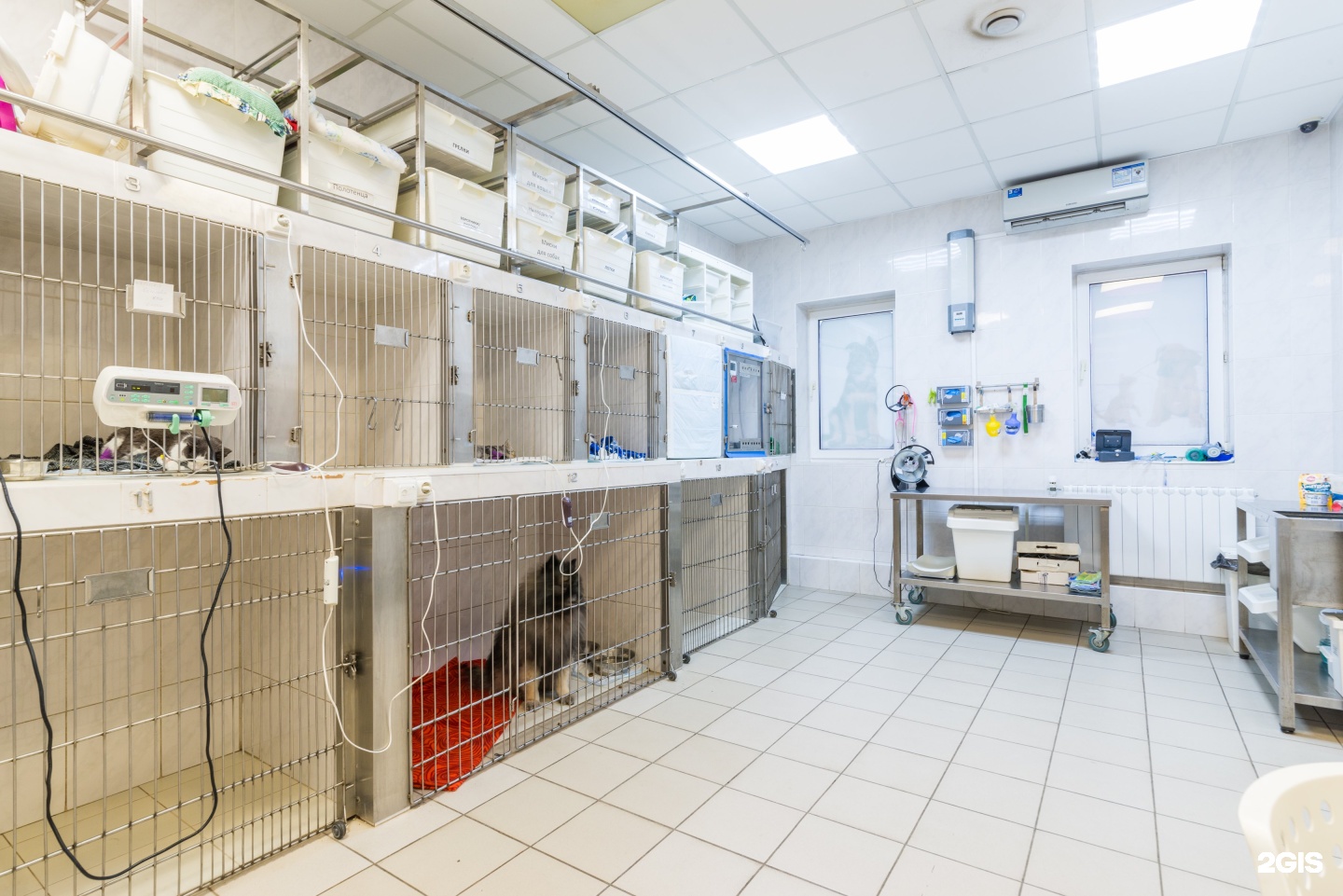 Лапландия ветклиника. Лапландия ветклиника. Лапландия, нижний новгород, улица терешковой. Лапландия ветеринарная. Лапландия ветеринарная.