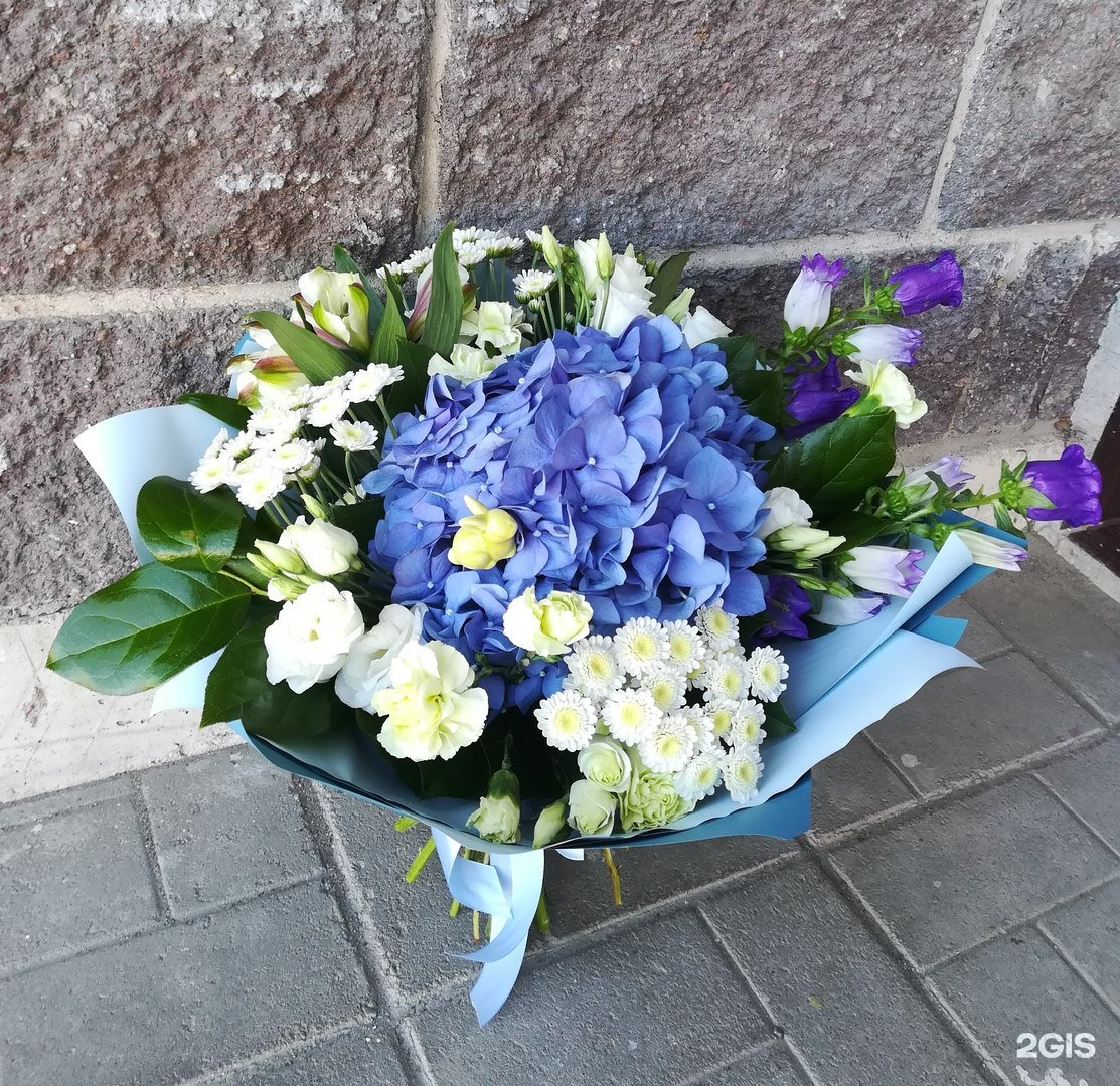 Цвета пскова. Алмазная 11 псков. Псковцвет. Псковцвет. Псков логотип.