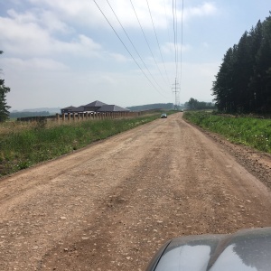 Фото от владельца Стожары, питомник