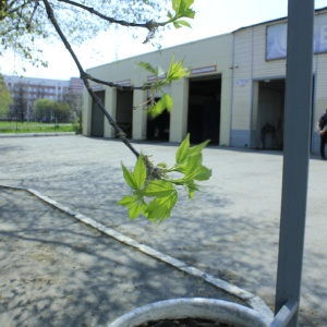 Фото от владельца Автоблеск, автотехцентр