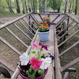 Фото от владельца Алые паруса, загородный комплекс