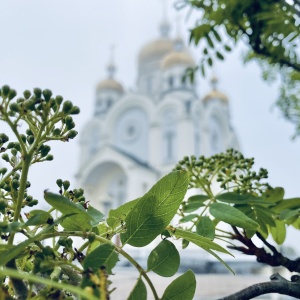 Фото от владельца Спасо-Преображенский Кафедральный собор г. Хабаровска