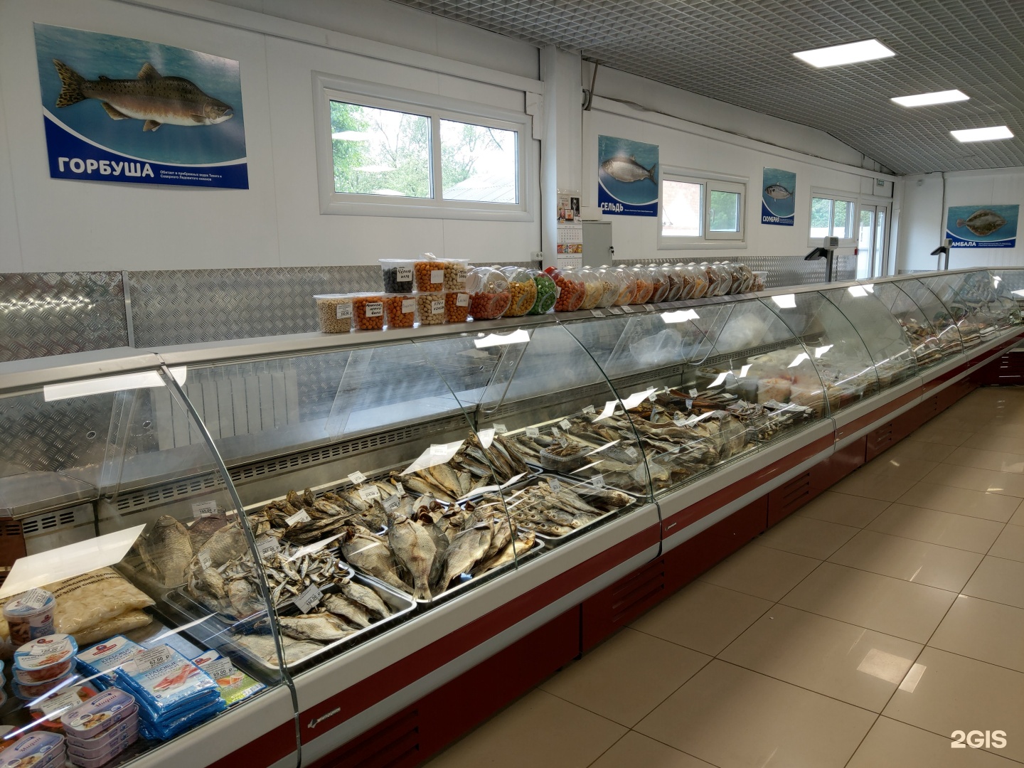 Магазин Рыбы Рядом