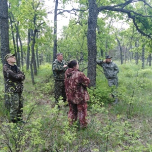 Фото от владельца Центр защиты леса Саратовской области