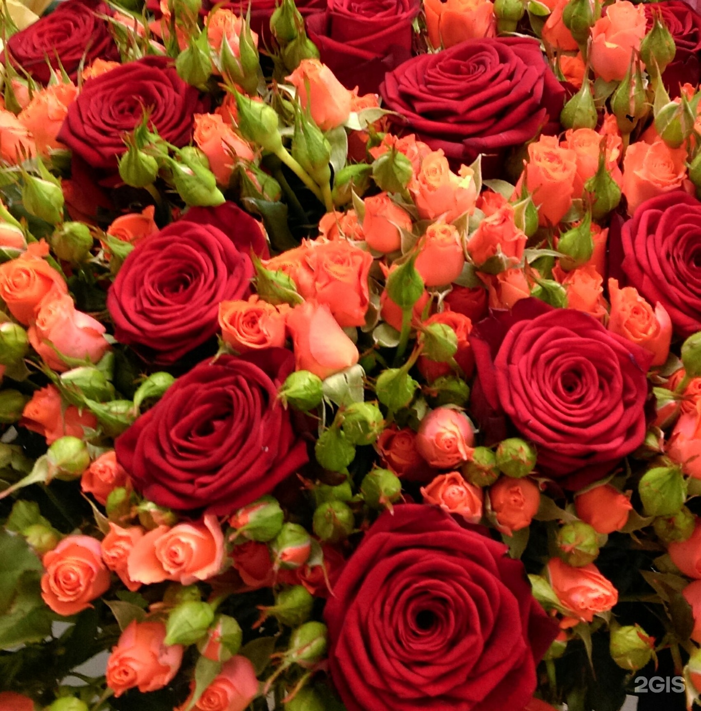 Купить Цветы В Белгороде Недорого Розы Белогорья