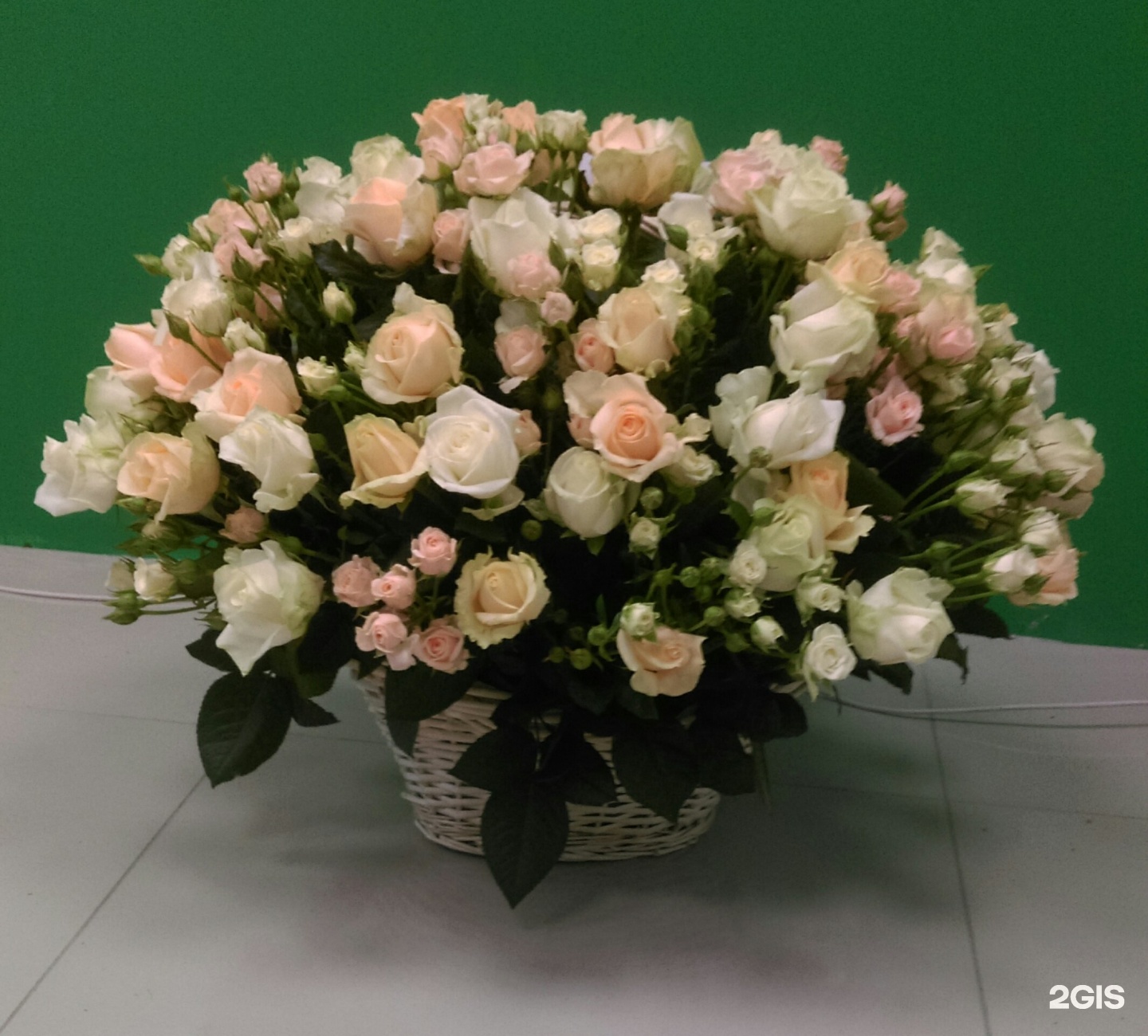 Купить Цветы В Белгороде Недорого Розы Белогорья