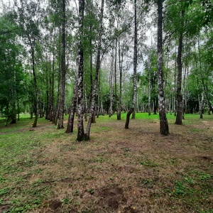 Фото от владельца Солнечный остров, парк культуры и отдыха