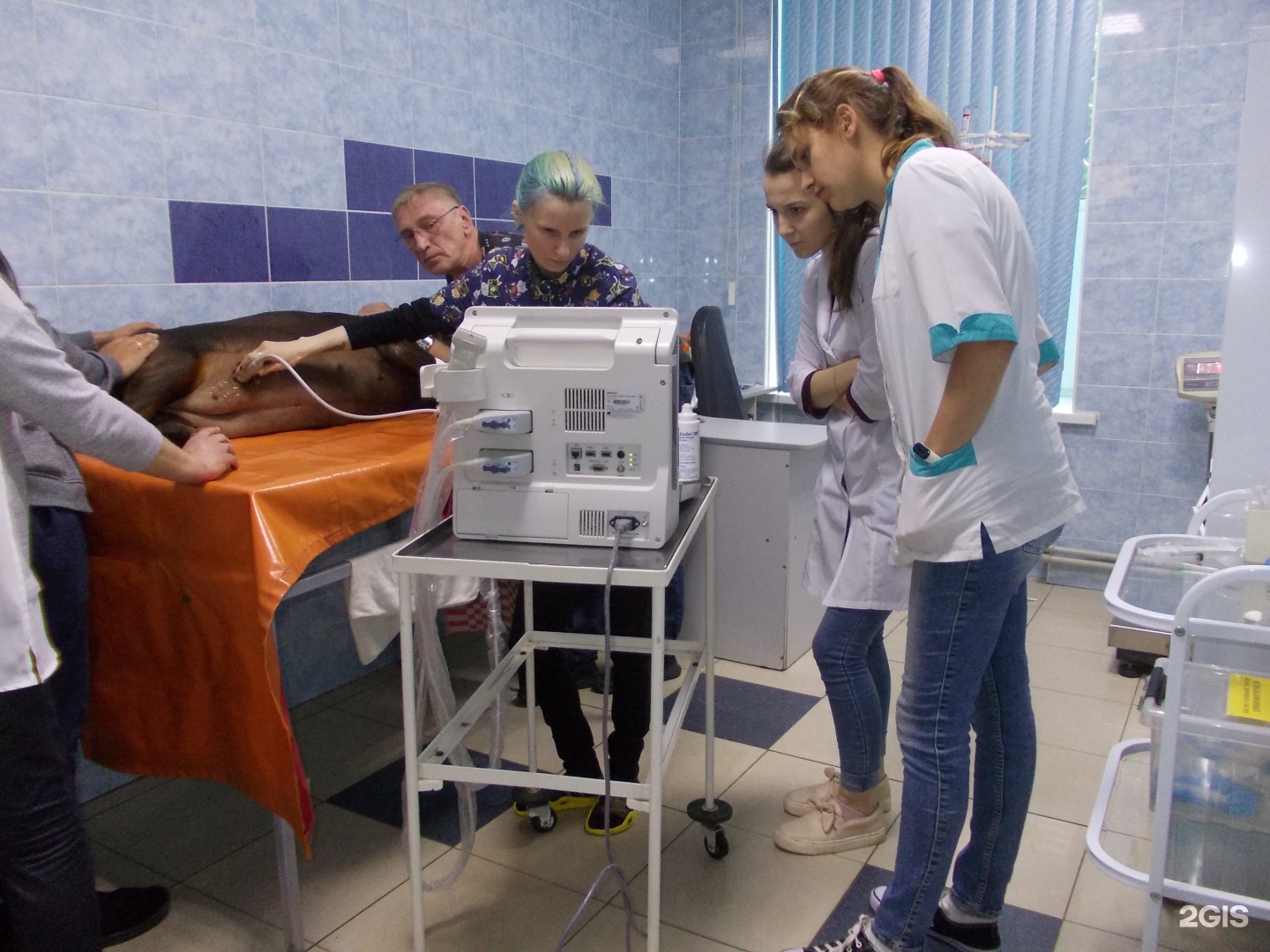 центр помощи дзержинск. дзержинск. дзержинск больница бсмп. центр помощи дзержинск. терешковой, 8.