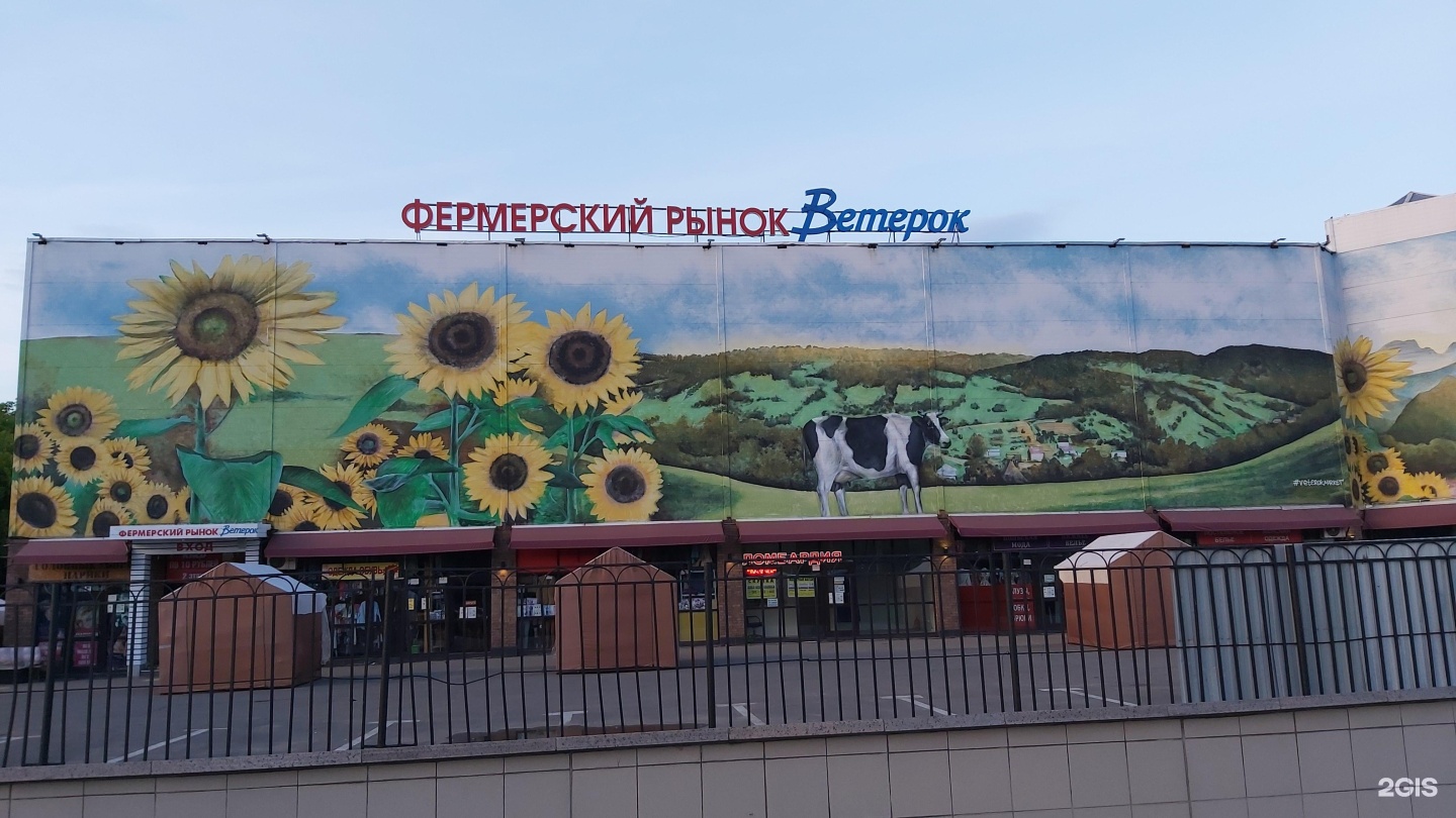 Рынок ветерок каширская