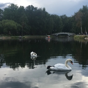 Фото от владельца Лианозовский, парк культуры и отдыха