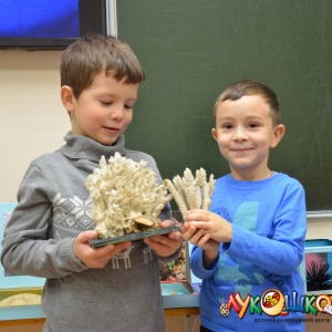 Фото от владельца Лукошко, детский развивающий центр