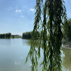 Фото от владельца Шесть Озер, загородный клуб