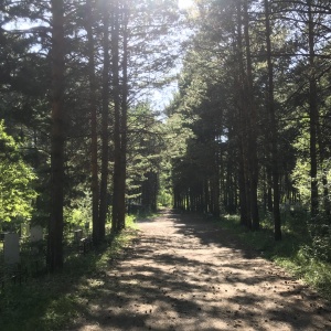 Фото от владельца Редаковское, кладбище