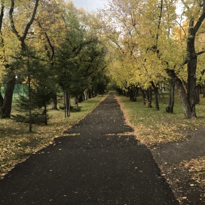 Фото от владельца Городской парк культуры и отдыха