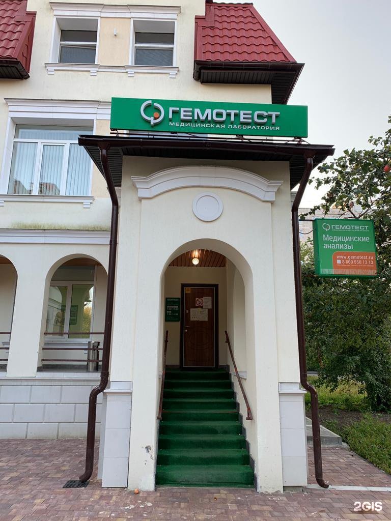 ногинск улица воздушных десантников дом 28. гемотест ногинск воздушных десантников. г ногинск ул воздушных десантников д 1. воздушных десантников 1. десантирование камаза.