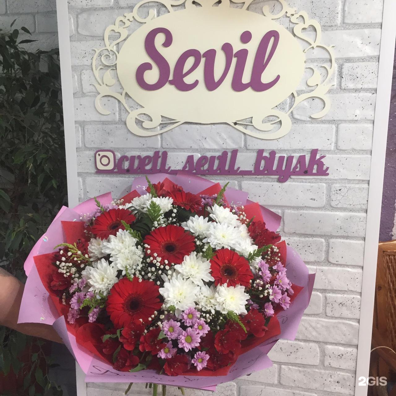 Дом цветов бийск. Магазин цветов Бийск. Севил магазин в Красноярске. Love is магазин цветов в Бийске. Sevil салон красоты Вавилова.