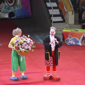 Фото от владельца Екатеринбургский государственный цирк