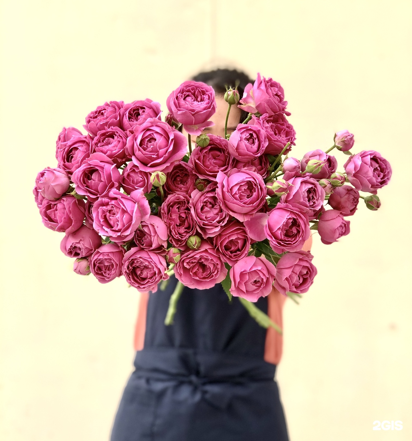 Фотография букета роз в студии. Сочетание кустовых роз молочных и розовых. Кустовые розы Якутск цена. Букеты якутск