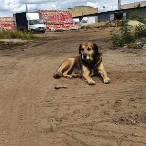 Фото от владельца Меркурий-Флот, промышленно-складской комплекс