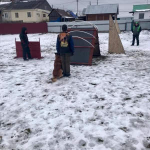 Фото от владельца АКСИОМА, Томский кинологический комплекс