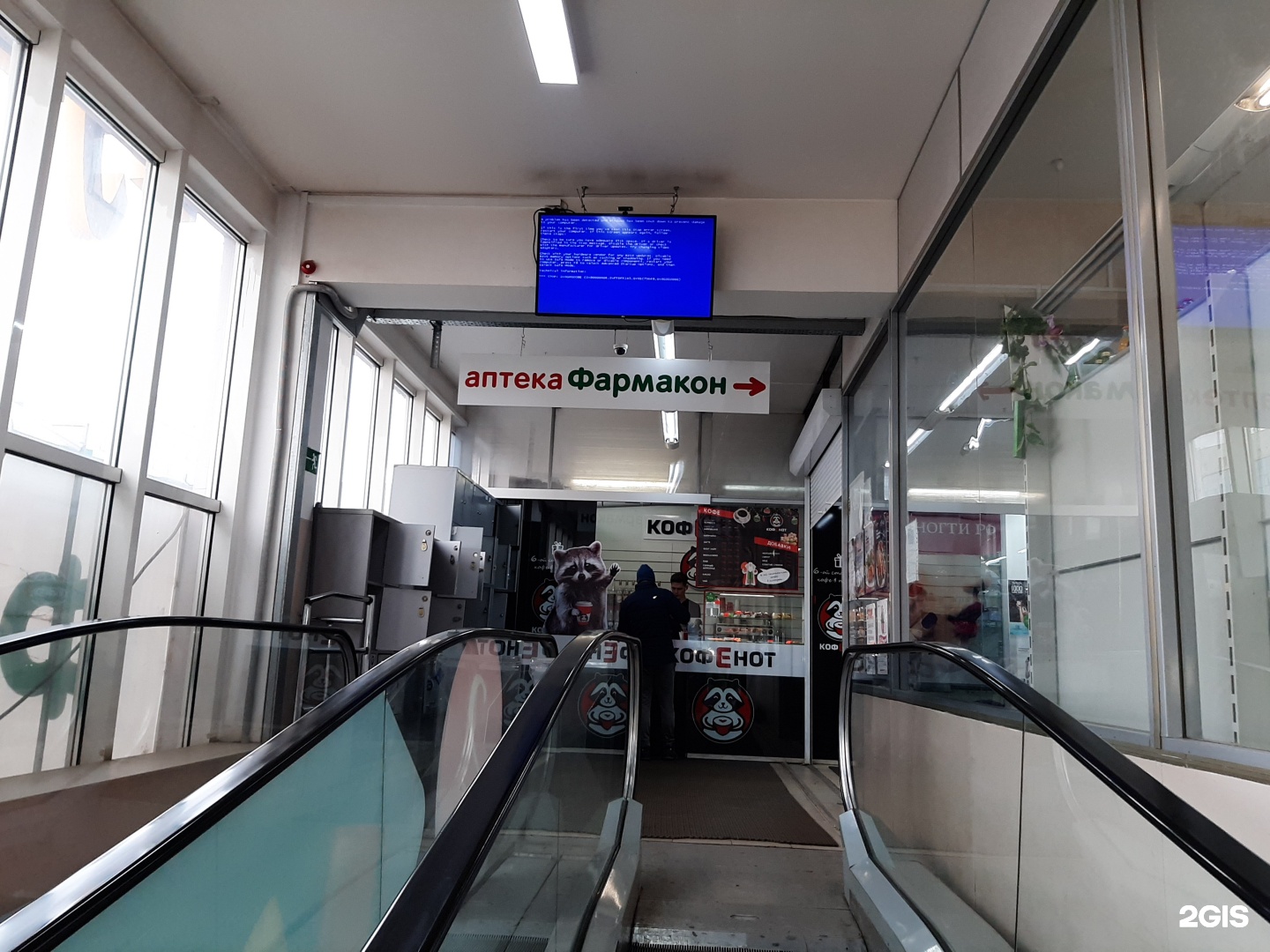 Ул пушкина 130. Кисловодск аптека Пушкина 93. Pharmakon.