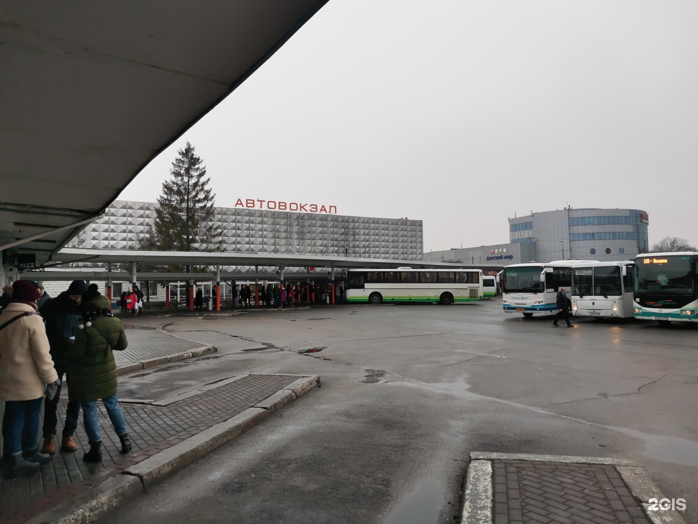 Автовокзал калининград купить билет