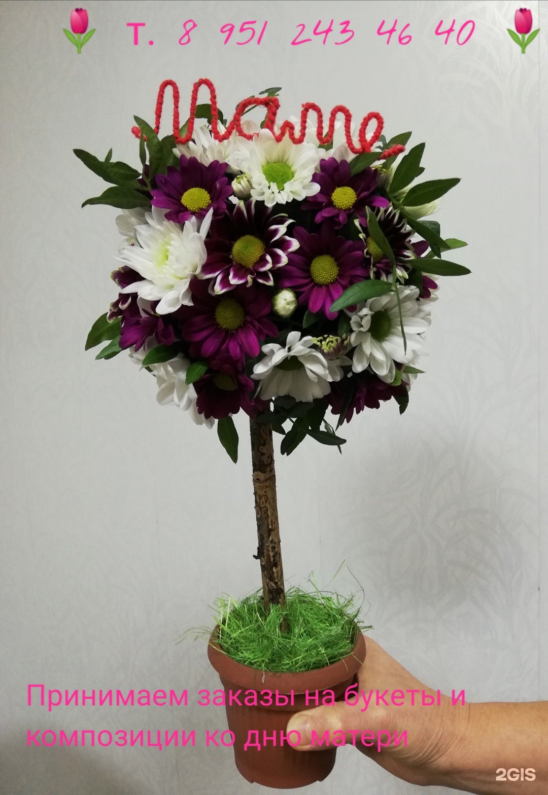 цветы грибоедова