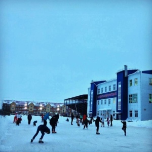 Фото от владельца Льдинка, ледовый комплекс
