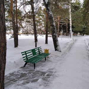 Фото от владельца Русский лес, дом отдыха