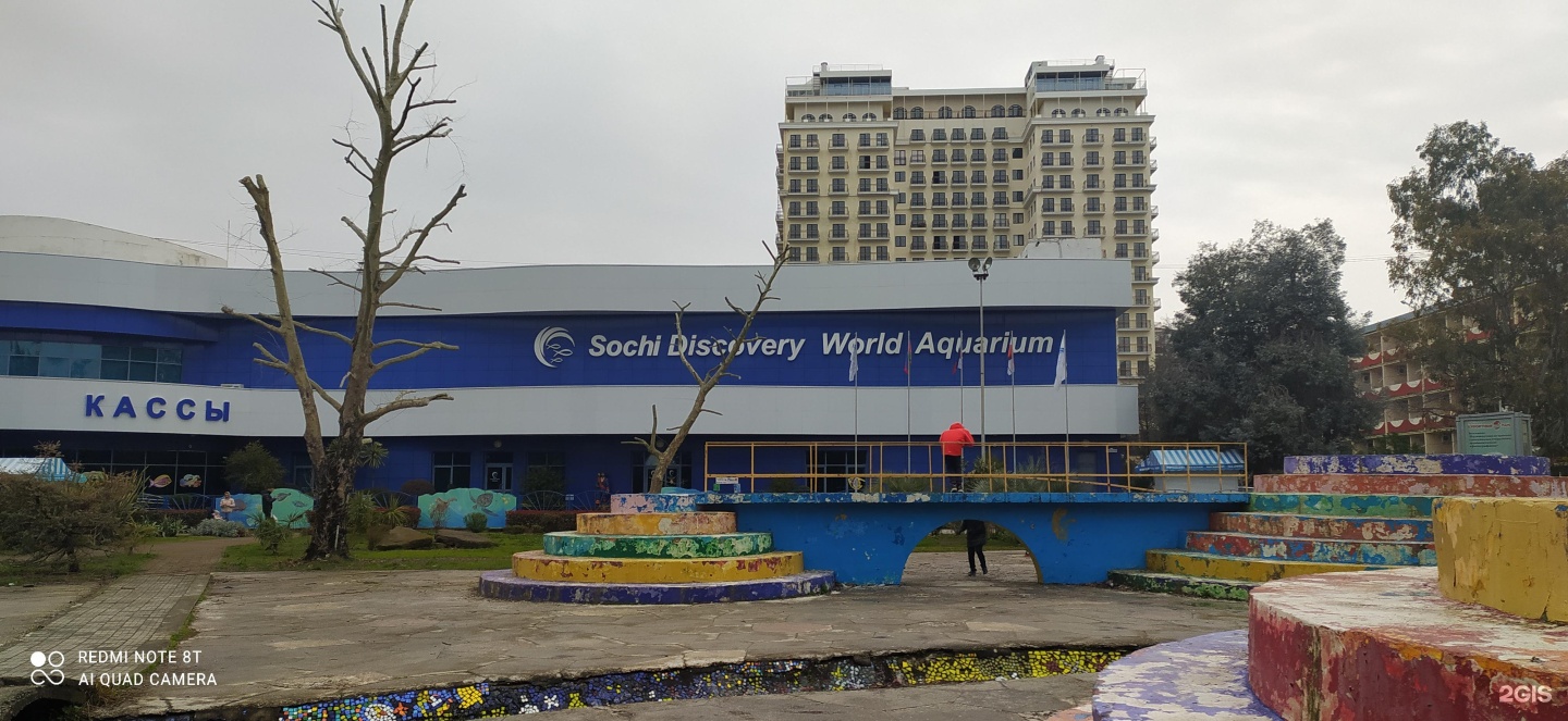 Сочи Ленина 219. Сочи улица Ленина 219а/4. Океанариум Адлер Ленина 219а. Sochi Discovery World Aquarium ул. Ленина, 219а/4, Сочи фото.