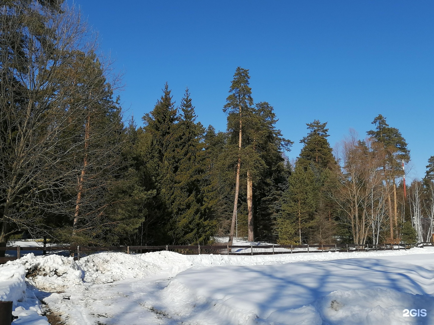 Санаторий бор нижегородская область. Калуга Бор санаторий.