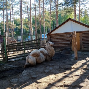 Фото от владельца Абзаково, ООО, зоопарк