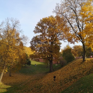 Фото от владельца Царицыно, парк культуры и отдыха