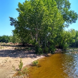 Фото от владельца Морской, парк культуры и отдыха