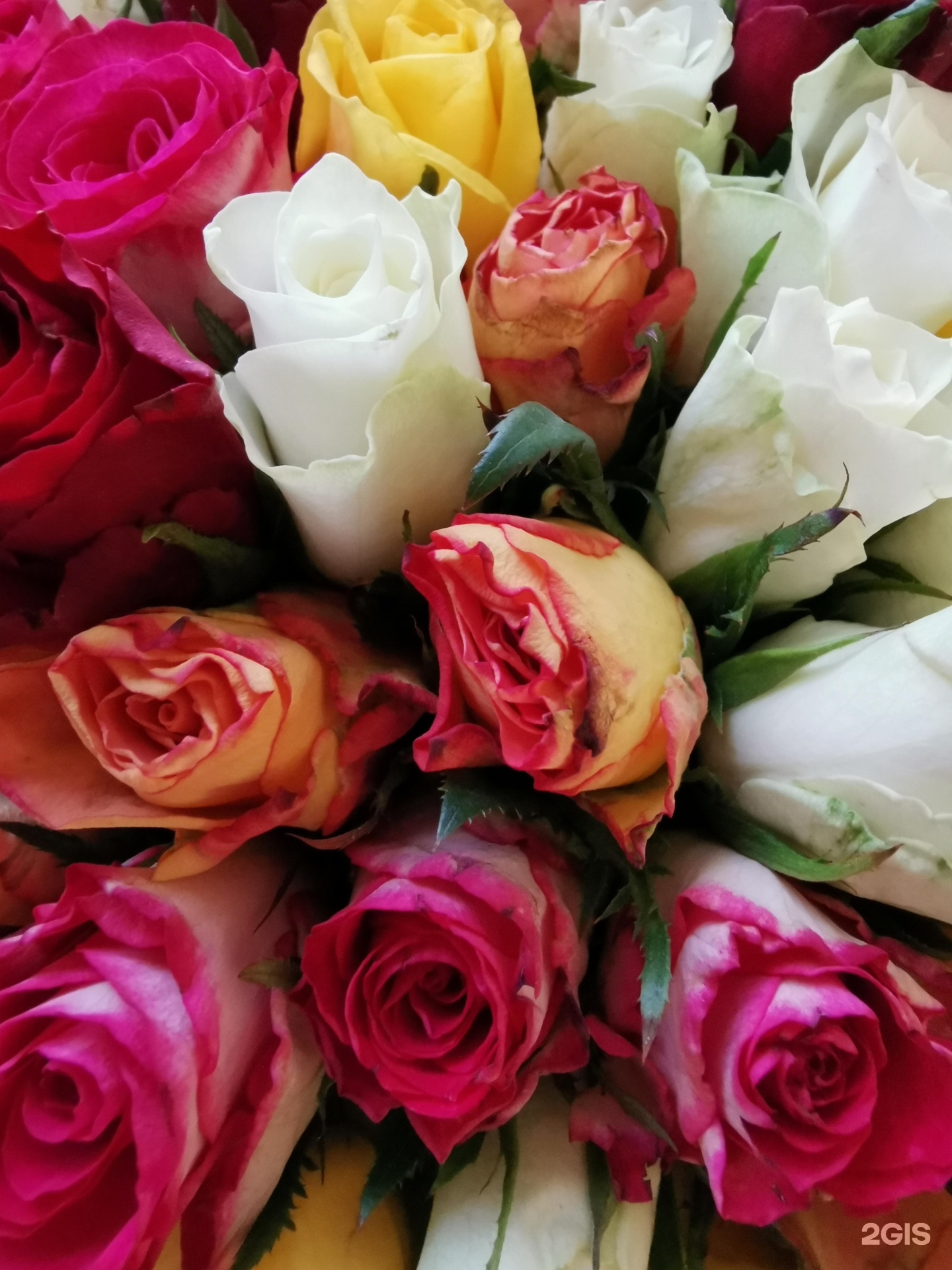 Flor24. Реклама flor2u. Индийский букет цветов на день рождения. Kiska_flor2. Flor2u калининград.