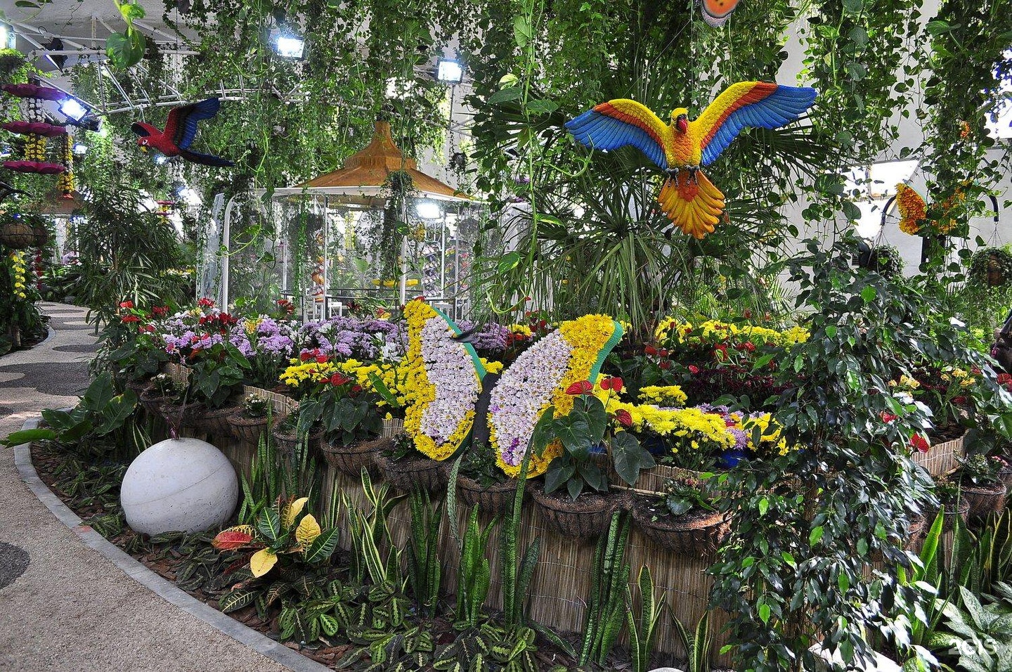 Парк бабочек в дубае фото Dubai Butterfly Garden, 200, Umm Suqeim Street, Dubai - 2GIS