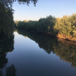 Фото от владельца Бугринская роща, парк культуры и отдыха