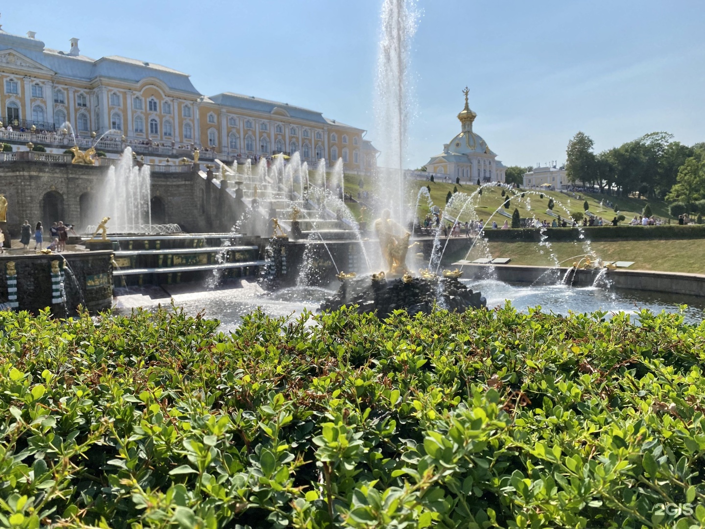 Заповедники петербурга. Заповедники Санкт-Петербурга.