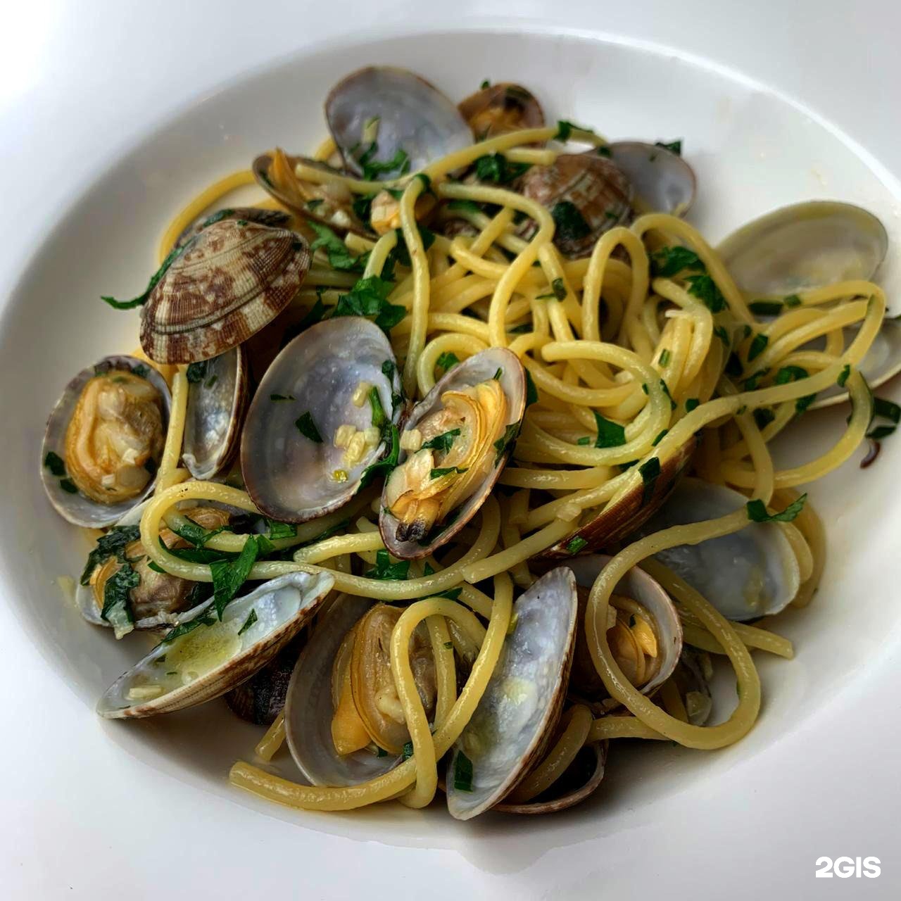 фетучини с вонголе. вонголе мидии кальмар. тренетте с вонголе. лингвини с вонголе. мидии вонголе.