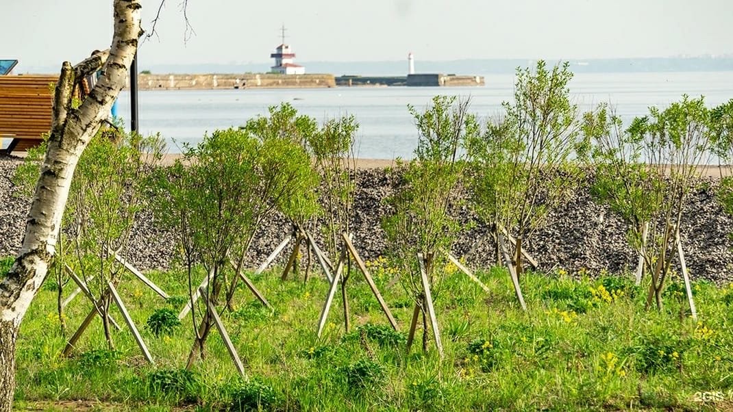 Кронштадт Цитадельское шоссе.